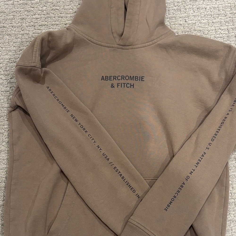 Abercrombie & Fitch Brown Hoodie Sweater